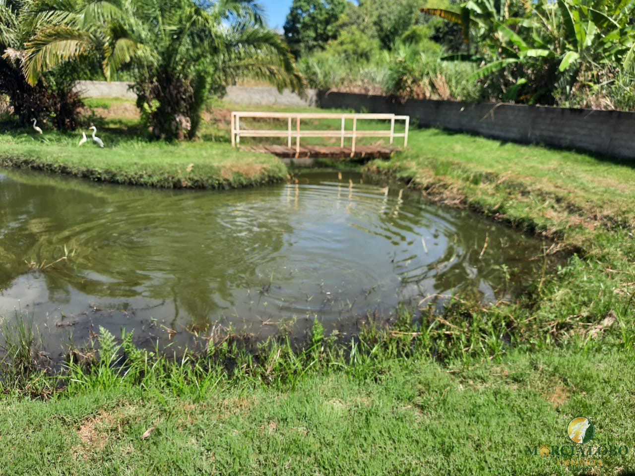 WhatsApp Image 2025-10-17 at 20.43.24 (1)