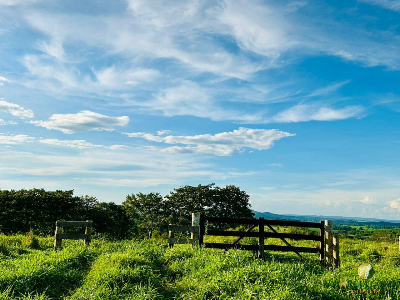 WhatsApp Image 2026-01-27 at 16.35.11