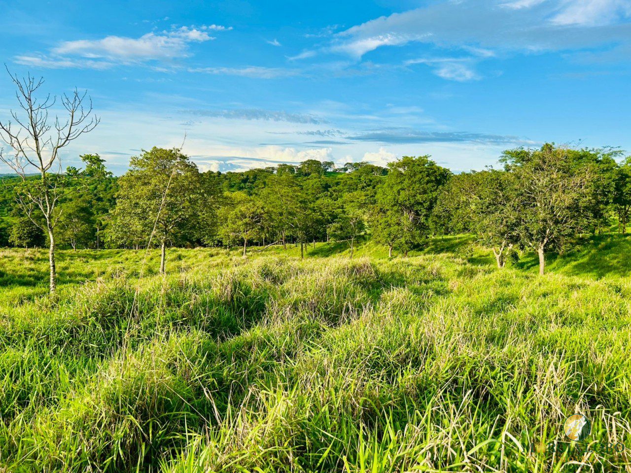 WhatsApp Image 2026-01-27 at 16.35.12 (1)