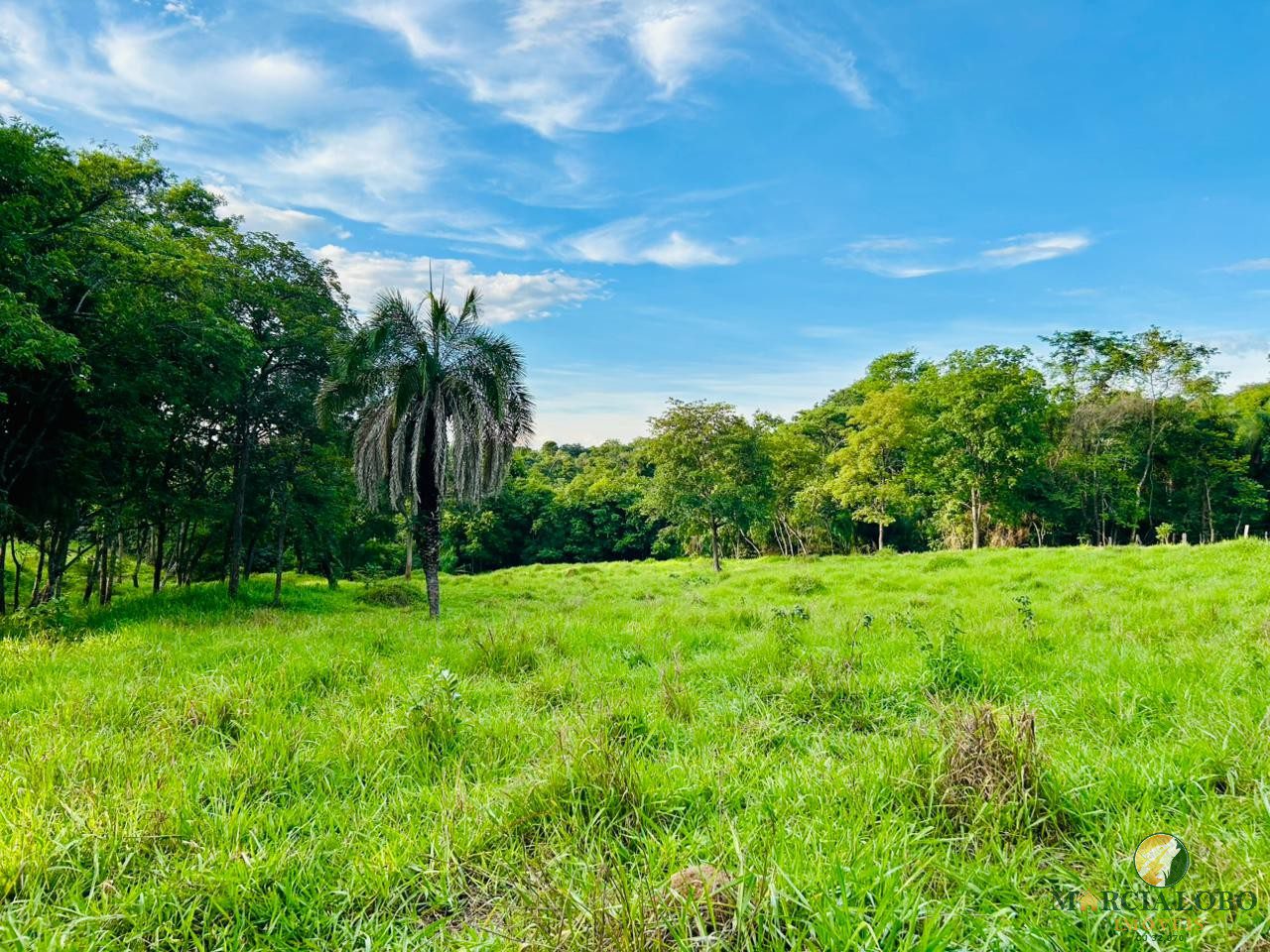 WhatsApp Image 2026-01-27 at 16.35.12 (2)