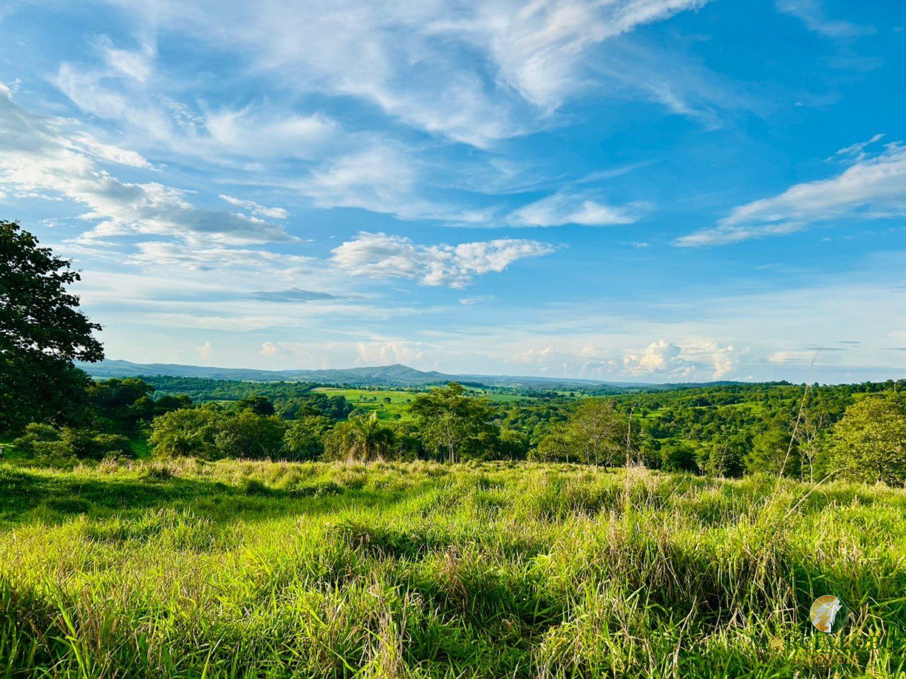 WhatsApp Image 2026-01-27 at 16.35.12