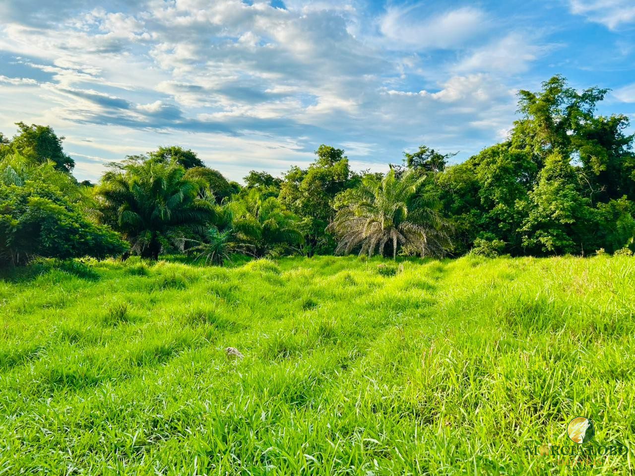 WhatsApp Image 2026-01-27 at 16.35.13 (1)