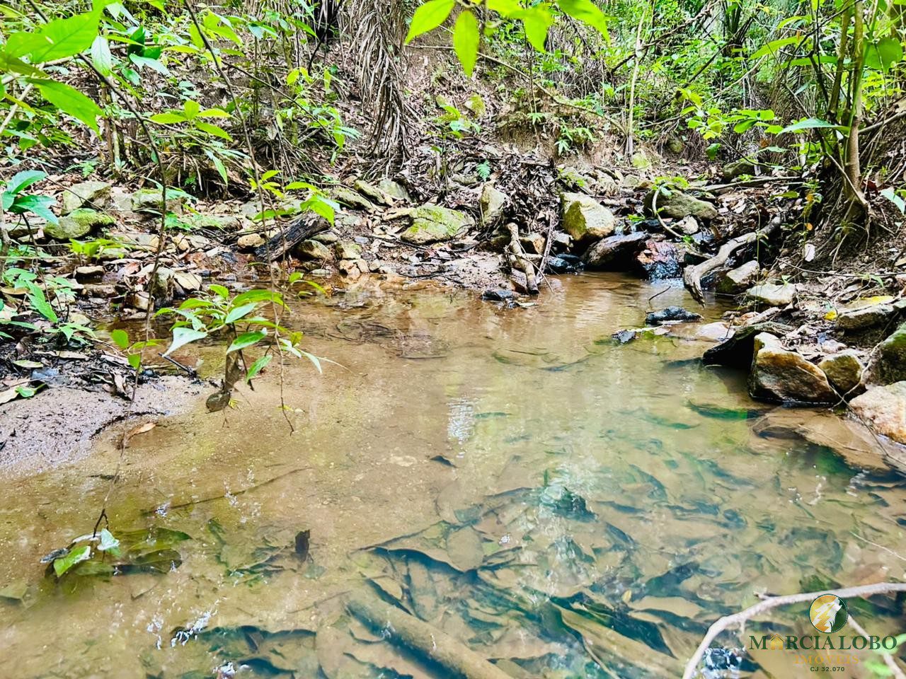 WhatsApp Image 2026-01-27 at 16.35.13 (2)