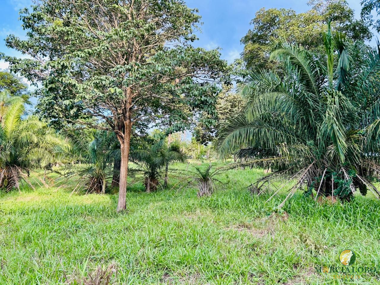 WhatsApp Image 2026-01-27 at 16.35.13