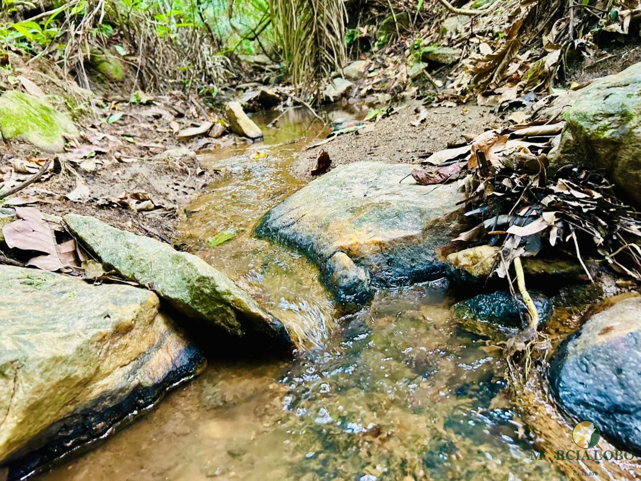 WhatsApp Image 2026-01-27 at 16.35.14