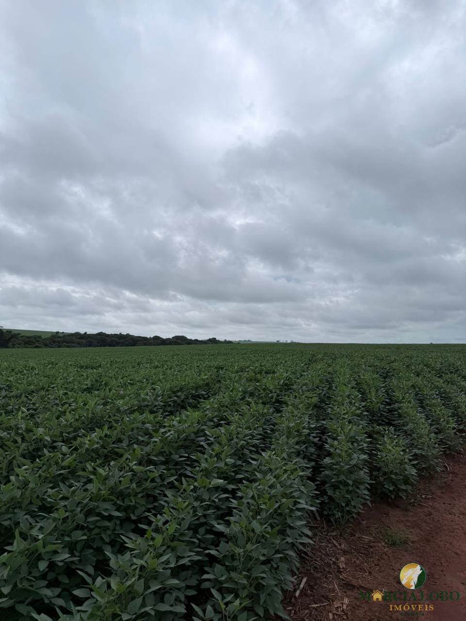 WhatsApp Image 2026-01-29 at 15.14.27 (1)