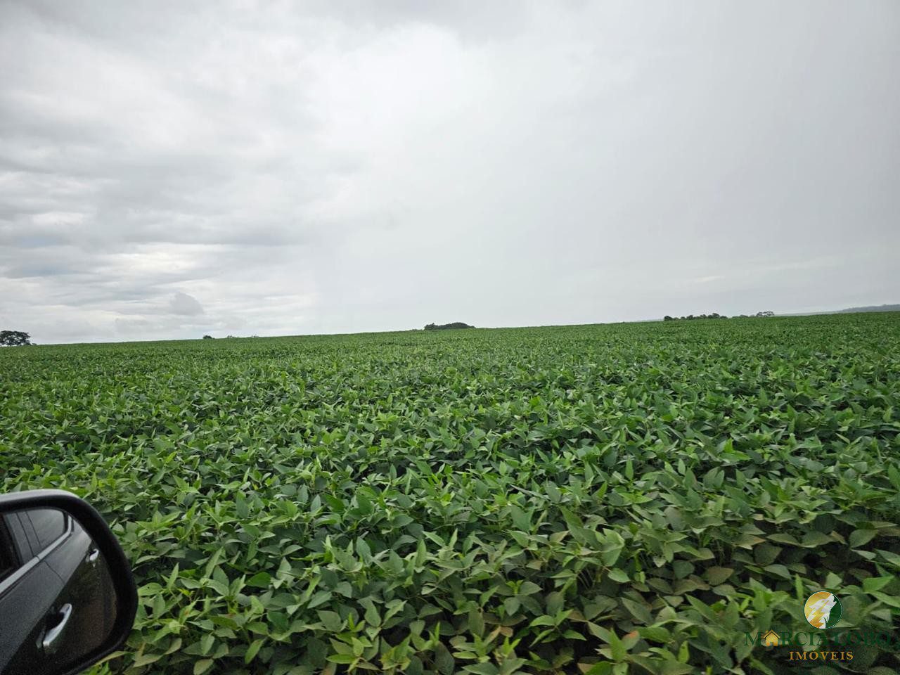 WhatsApp Image 2026-01-29 at 15.14.27 (2)