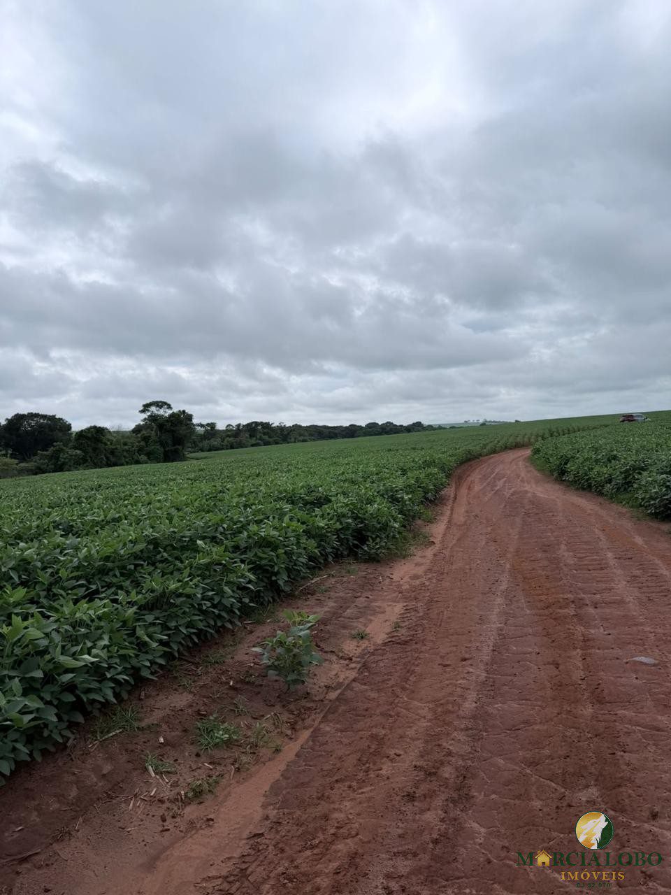 WhatsApp Image 2026-01-29 at 15.14.27 (3)