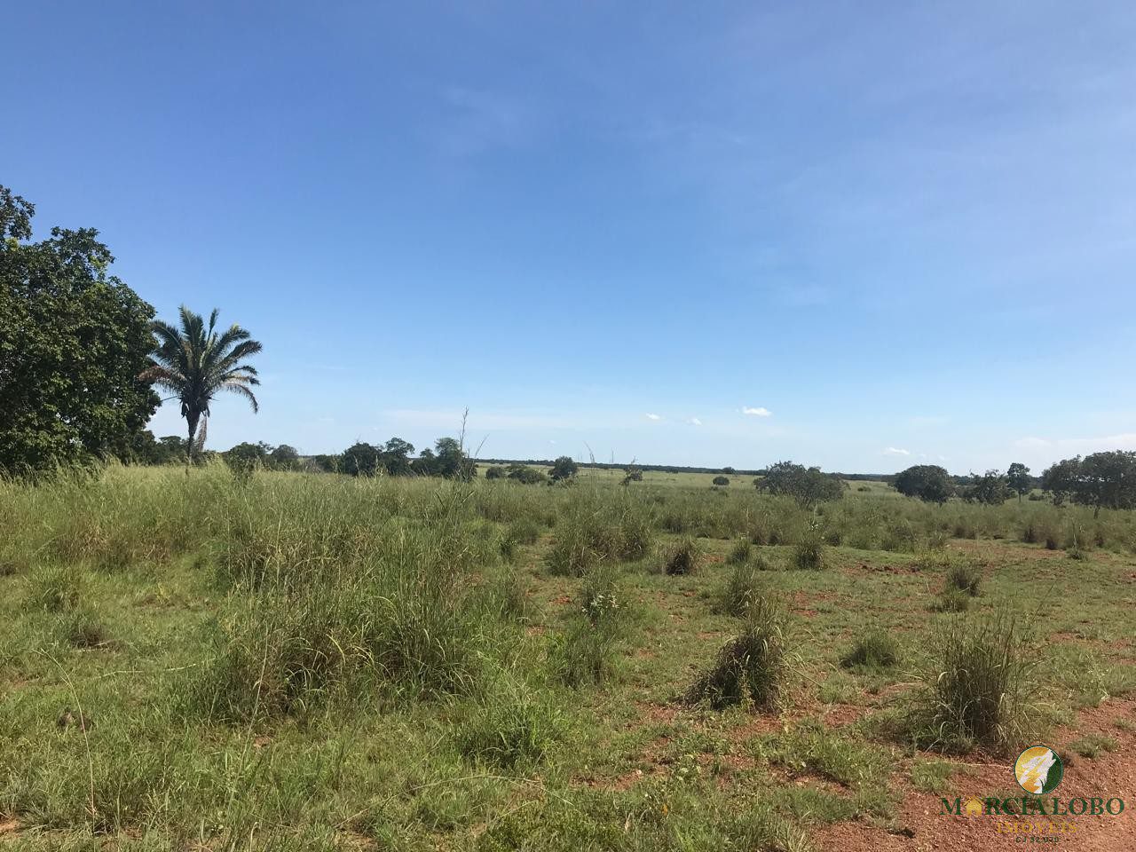 WhatsApp Image 2026-02-18 at 12.15.38