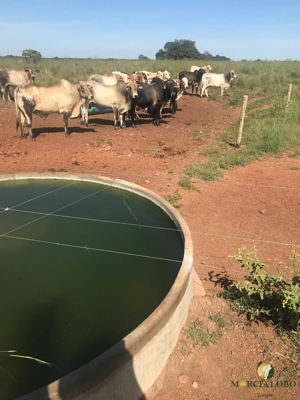 WhatsApp Image 2026-02-18 at 12.15.39 (1)