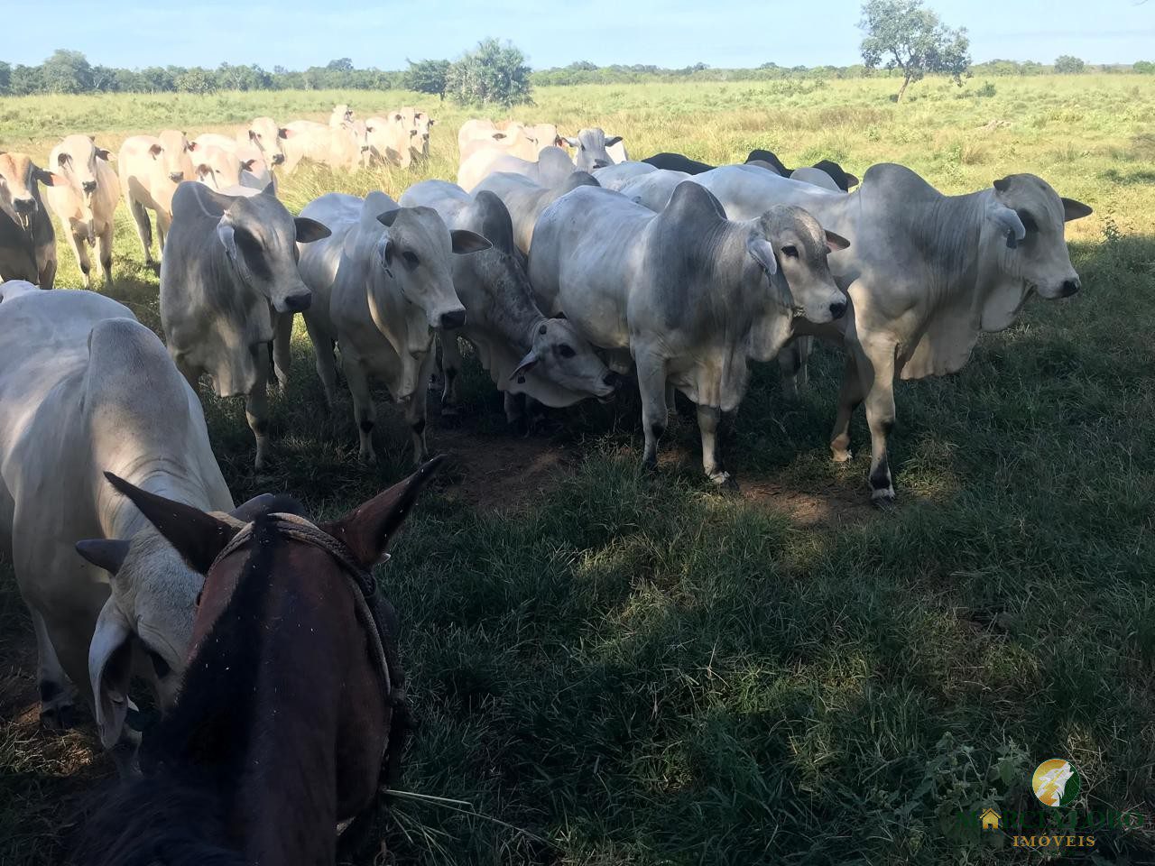 WhatsApp Image 2026-02-18 at 12.15.39 (3)