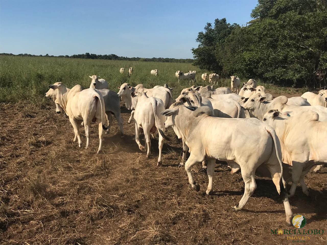 WhatsApp Image 2026-02-18 at 12.15.40 (1)