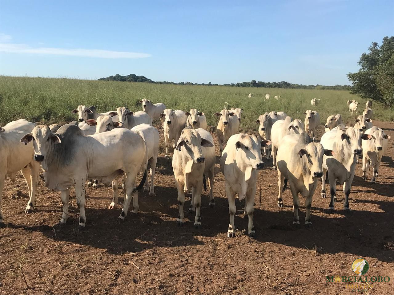 WhatsApp Image 2026-02-18 at 12.15.40 (2)