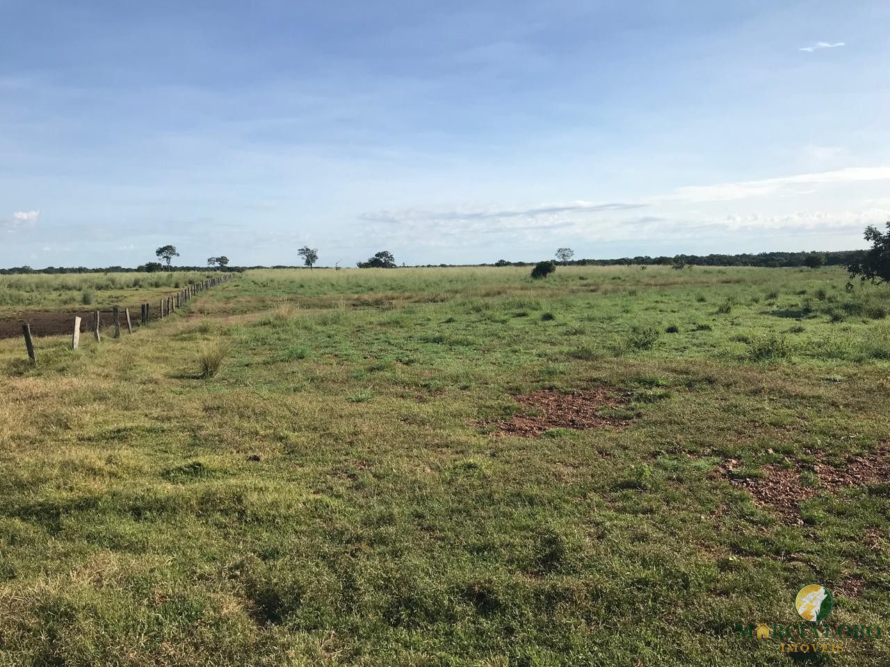 WhatsApp Image 2026-02-18 at 12.15.40 (3)