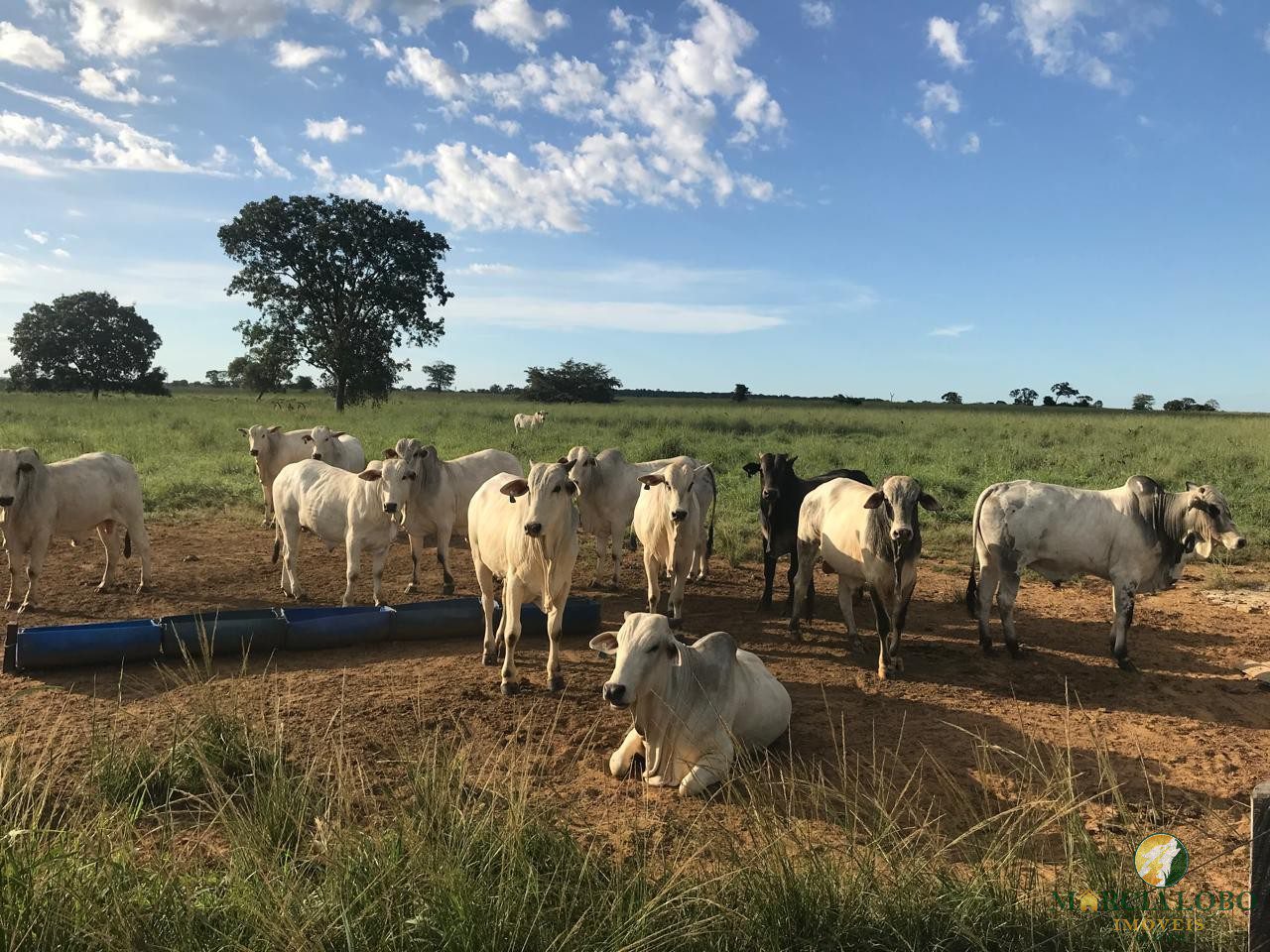 WhatsApp Image 2026-02-18 at 12.15.40 (4)