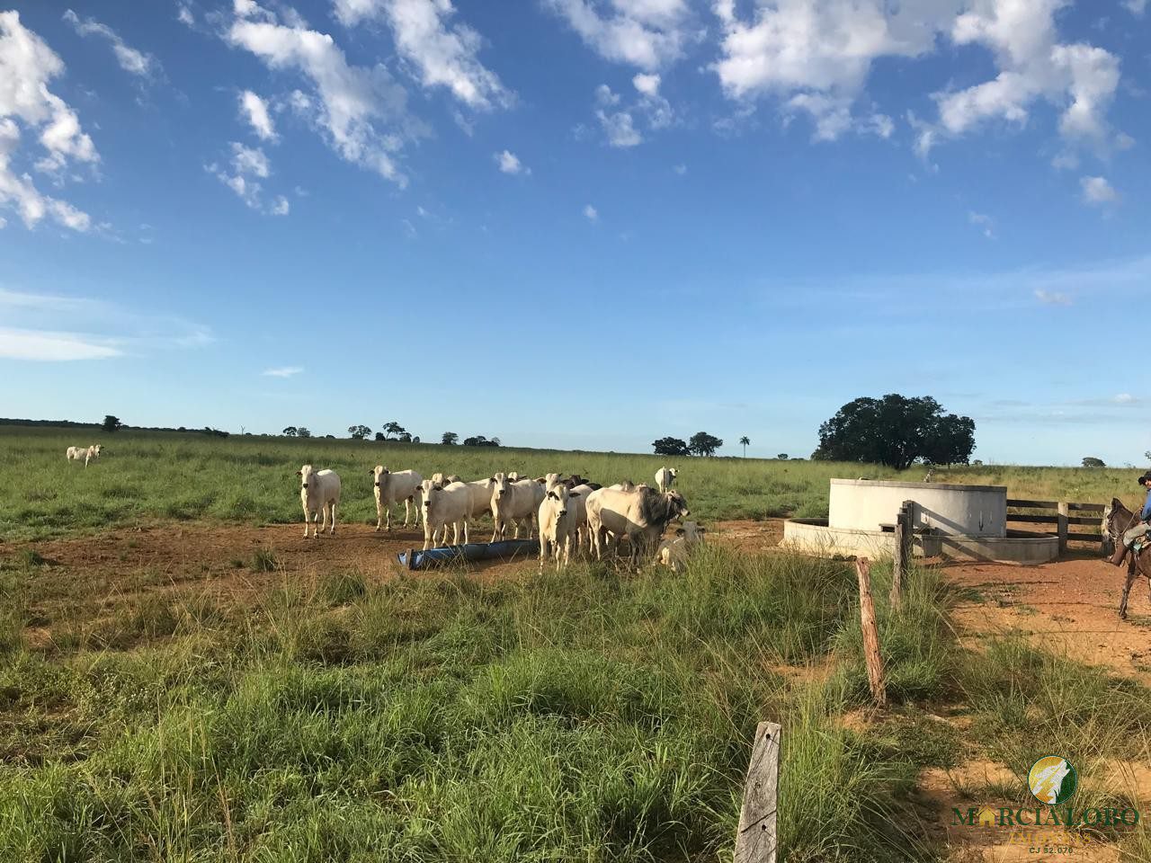 WhatsApp Image 2026-02-18 at 12.15.40 (5)