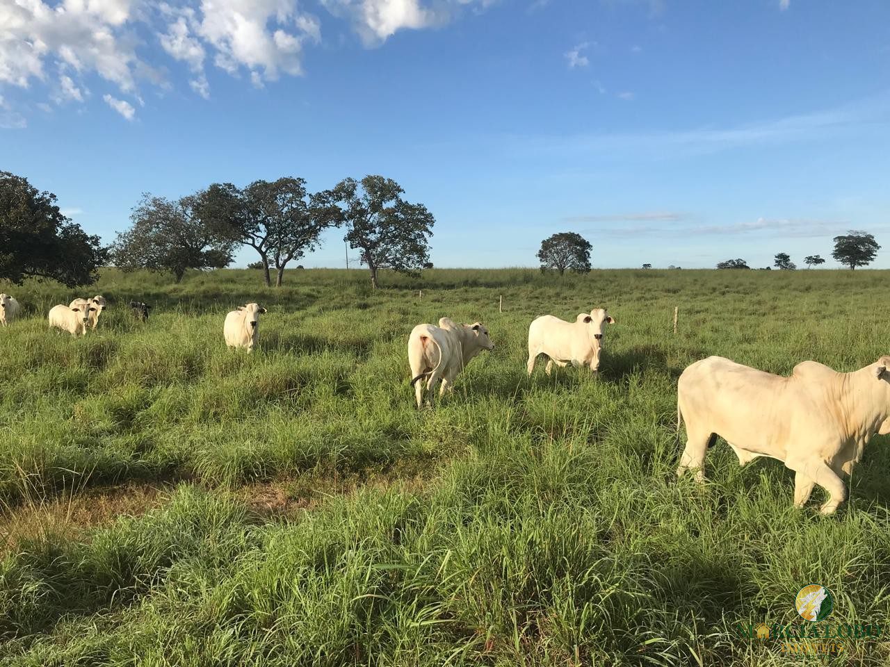 WhatsApp Image 2026-02-18 at 12.15.41 (1)