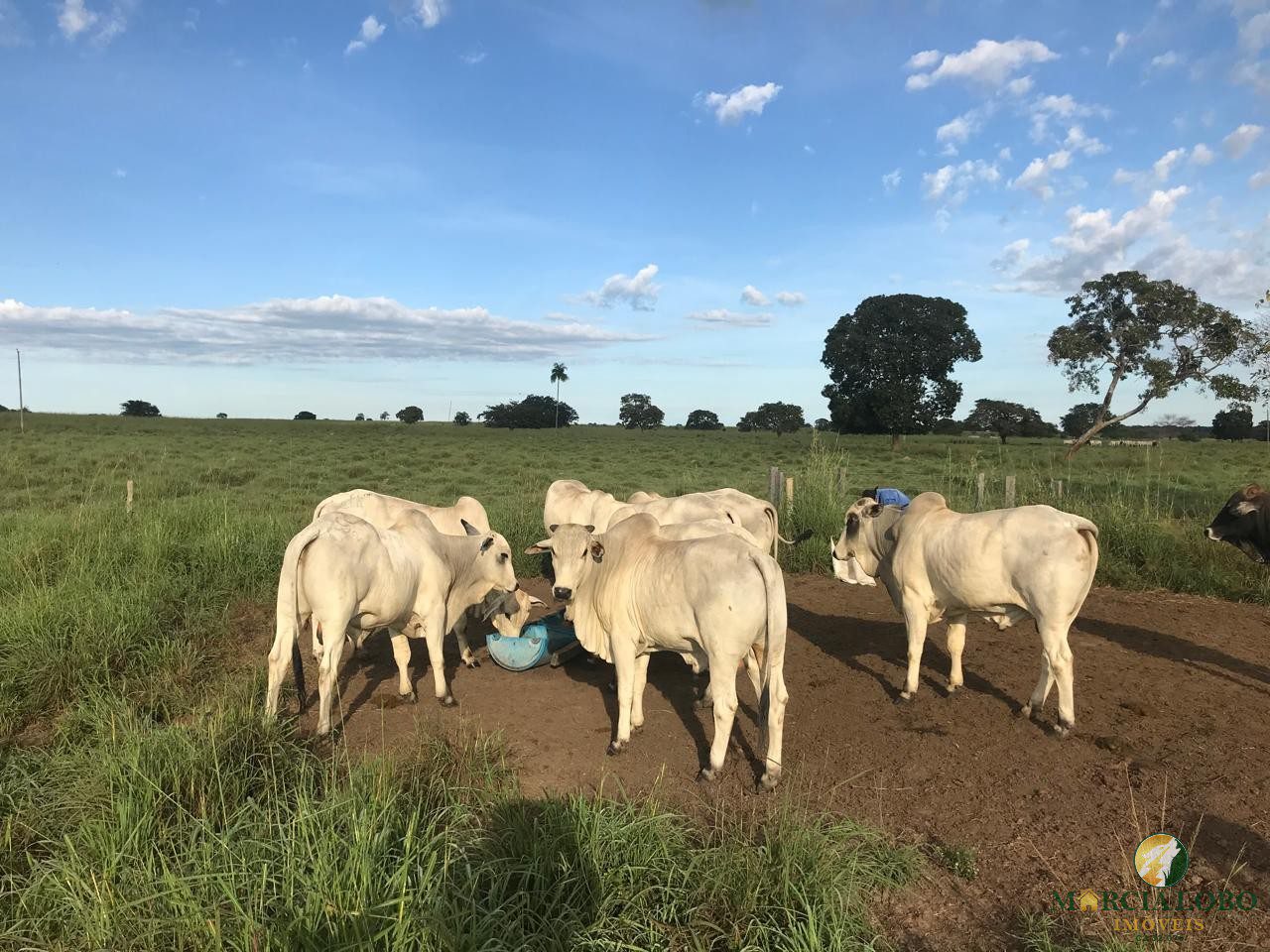 WhatsApp Image 2026-02-18 at 12.15.41 (2)