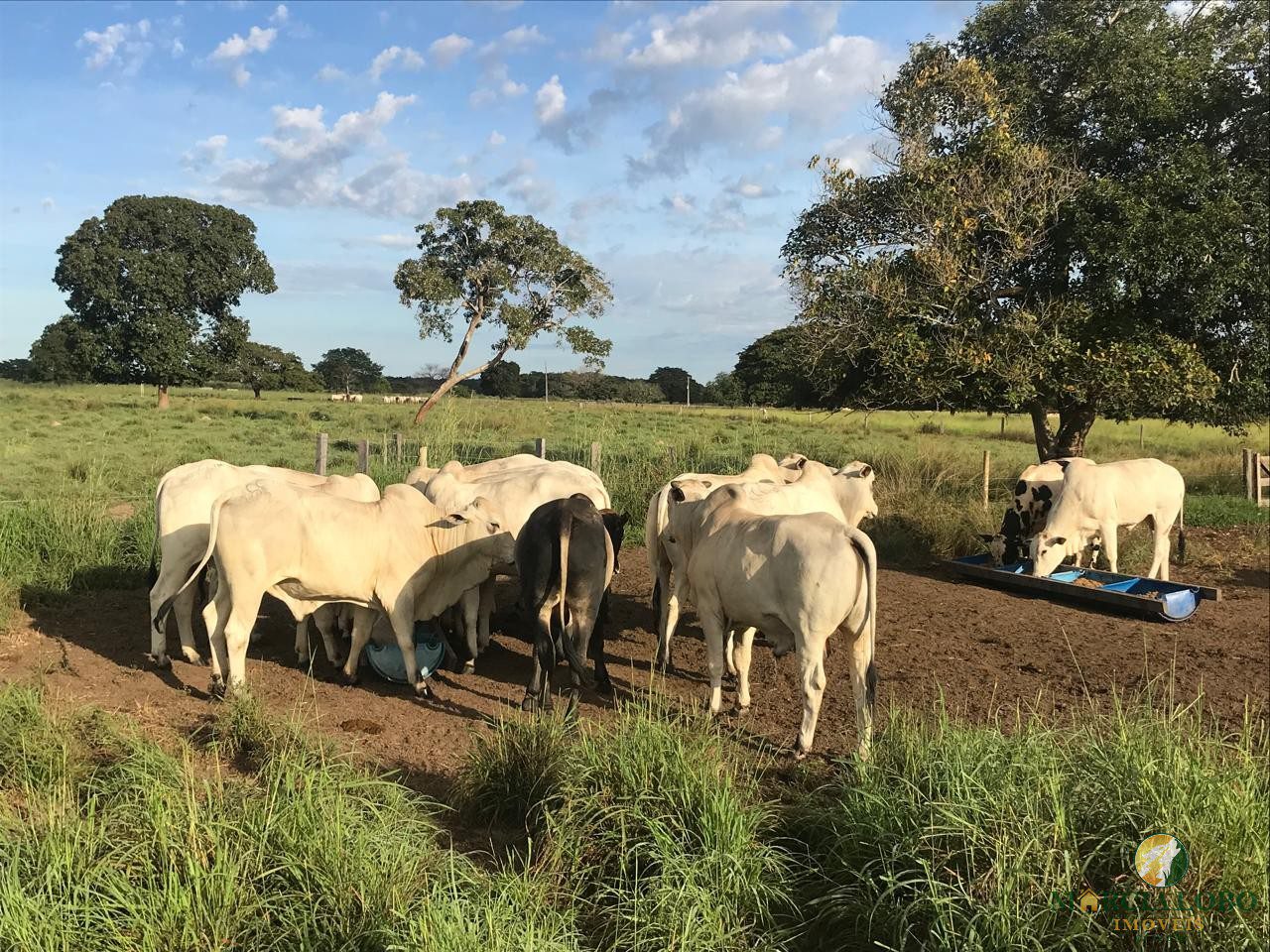 WhatsApp Image 2026-02-18 at 12.15.41