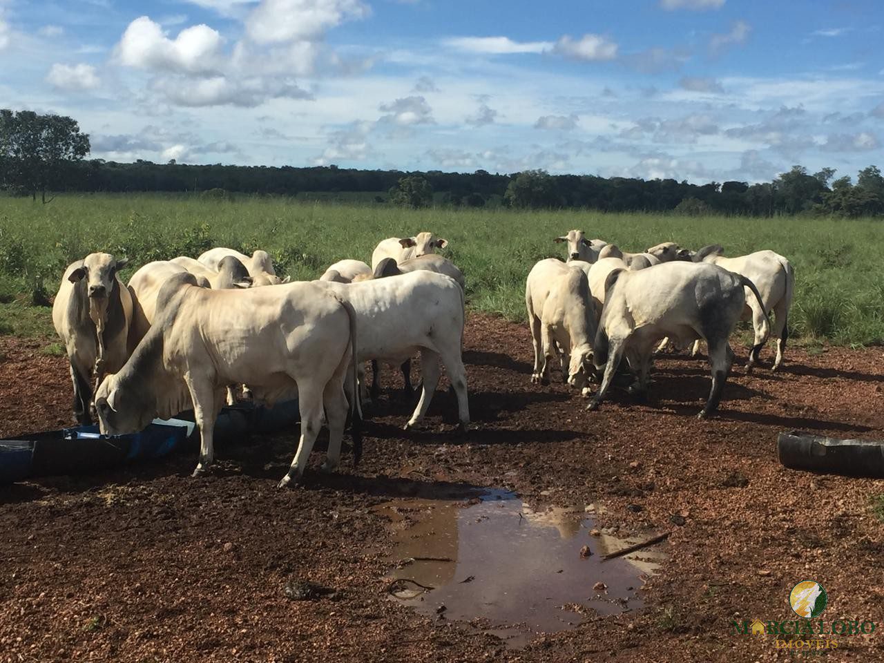 WhatsApp Image 2026-02-18 at 12.16.45 (1)