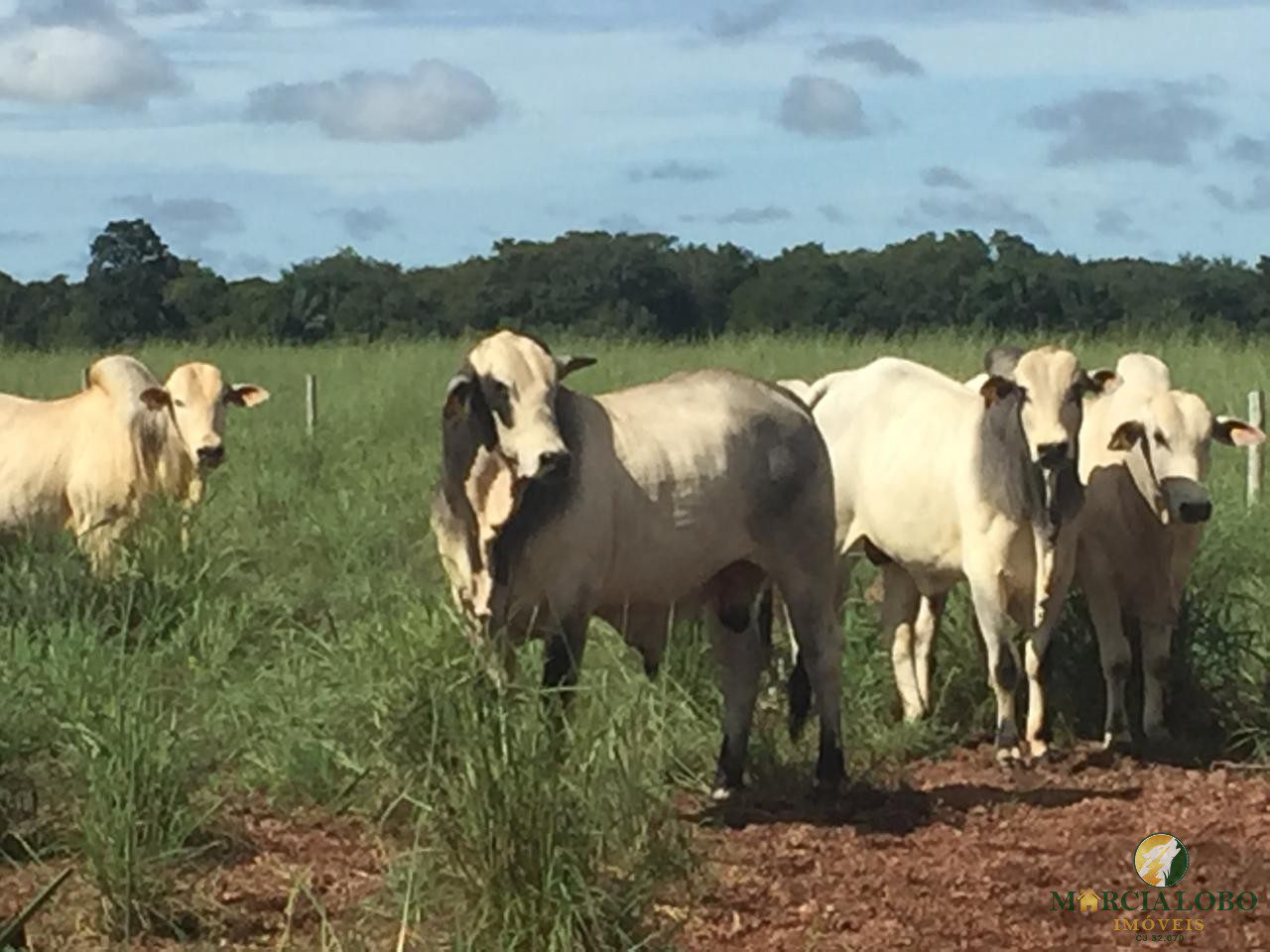 WhatsApp Image 2026-02-18 at 12.16.45