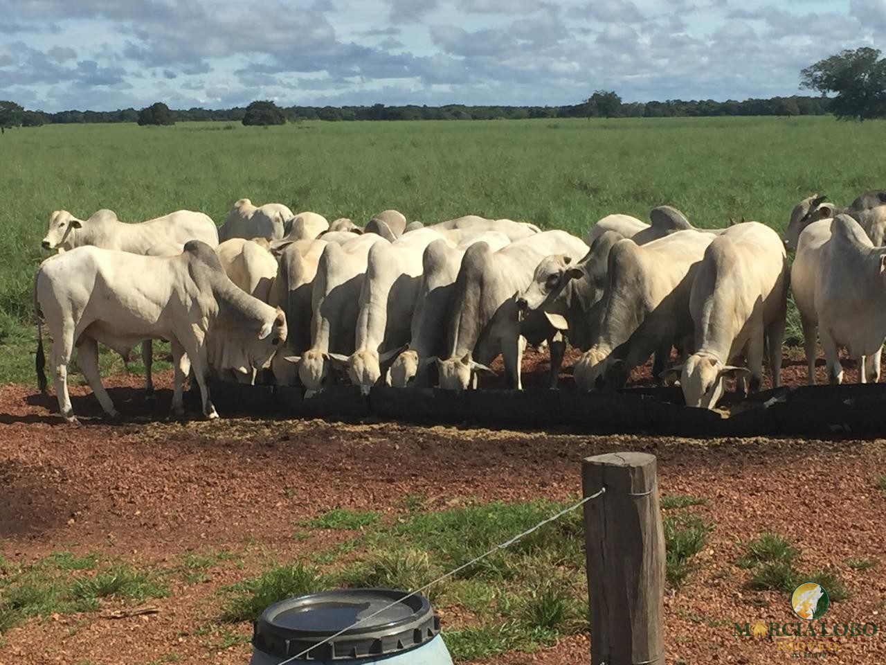 WhatsApp Image 2026-02-18 at 12.16.46 (1)