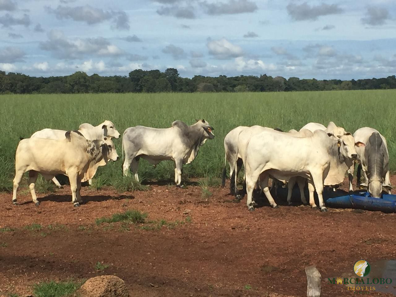 WhatsApp Image 2026-02-18 at 12.16.46 (2)