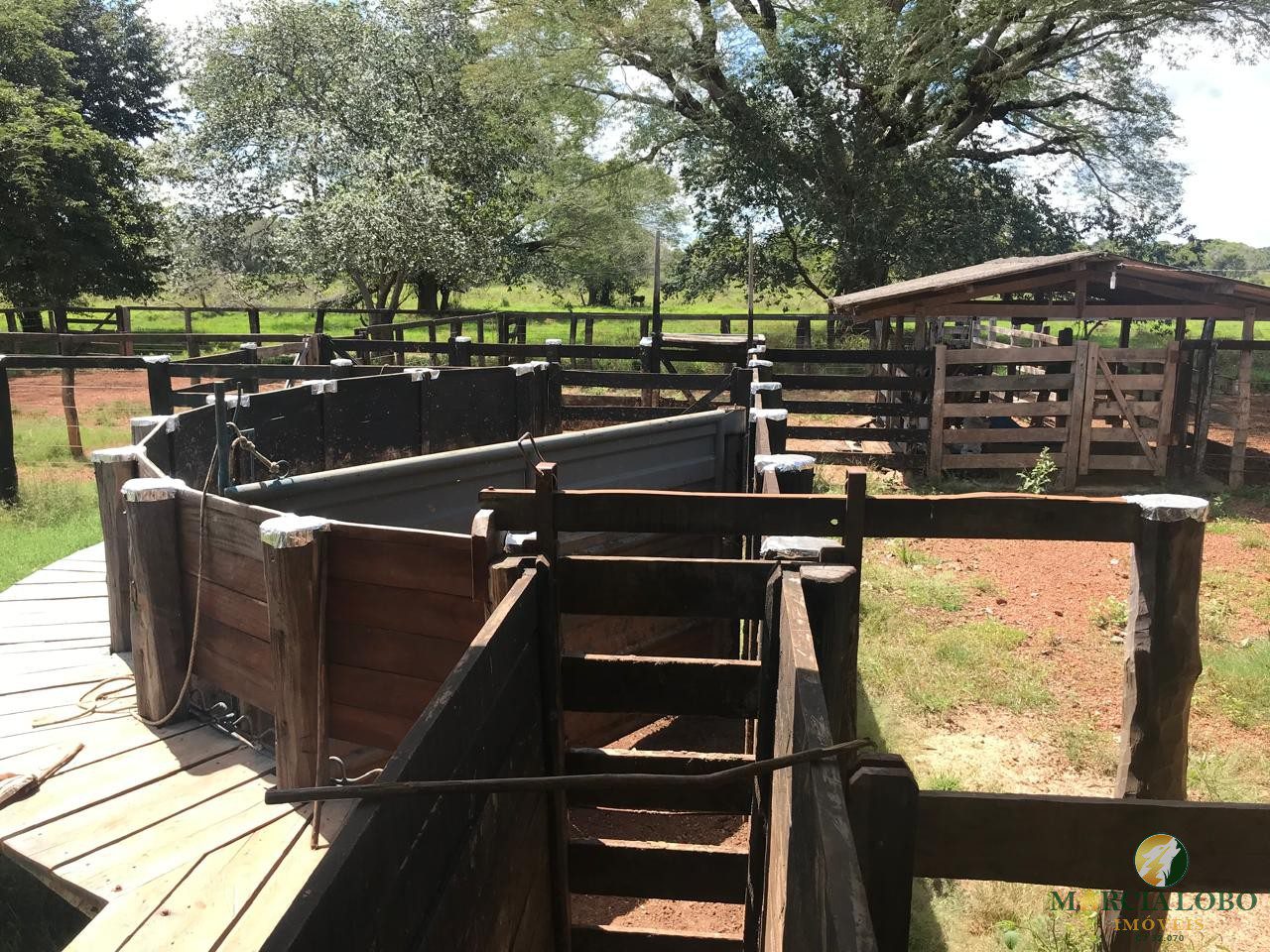 WhatsApp Image 2026-02-18 at 12.16.46 (3)